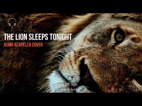 A Lion Sleeps Tonight Acapella ASMR Cover (30 mins loop for sleep)  [Binaural]