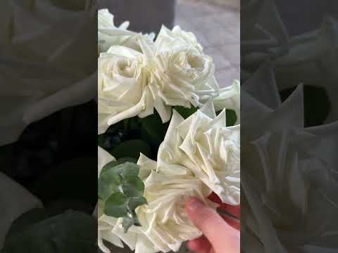 #lofi #lofiasmr #asmr #flowers #flowersasmr