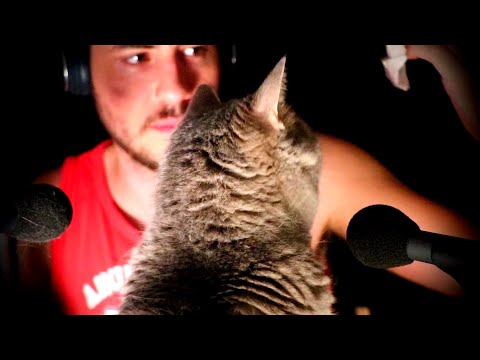 Je retire les poils de chat de mes micros ASMR