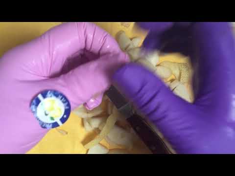 LATEX GLOVES   (´｡• ᵕ •｡`) ♡  Peeling & Slicing a Nashi Pear ❤ [[ASMR]]