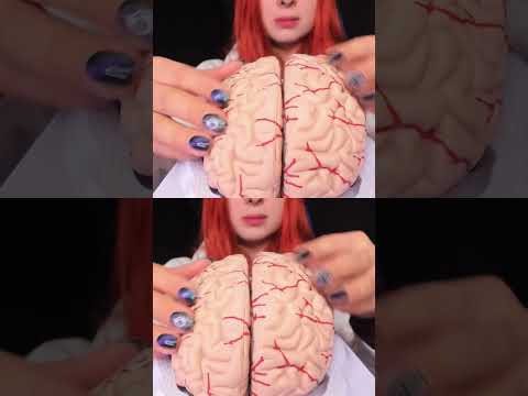 ASMR 🧠 BRAIN TINGLES... Literally! Sleep & Relaxation #asmr #shorts