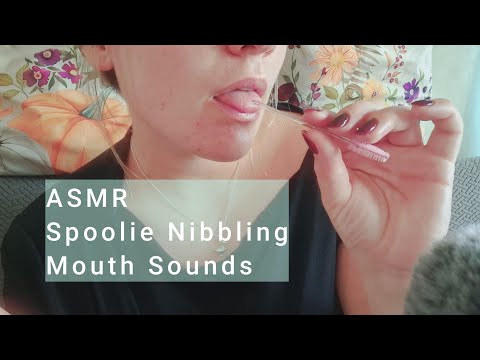 ASMR - Spoolie Nibbling - Mouth Sounds