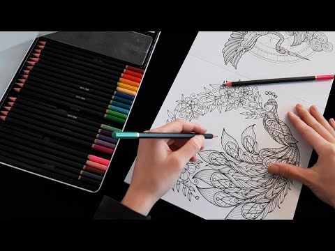 ASMR - Coloriage et Chuchotements pour t'endormir 🖍️😴