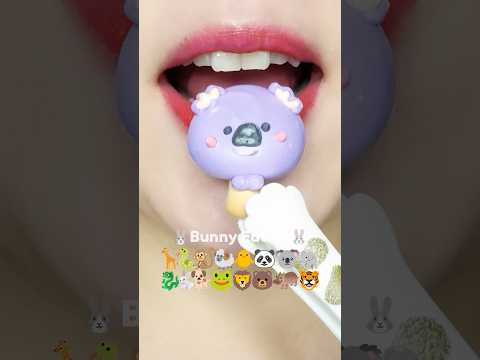 Cute Animal Sweets! 🐶🍬 MUKBANG 동물 머랭쿠키 먹방 (sped up)