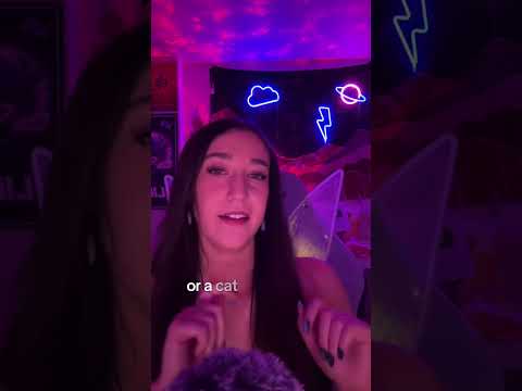 do u get a goodnight or did i clock ur tea?  #asmr #tingles #relax