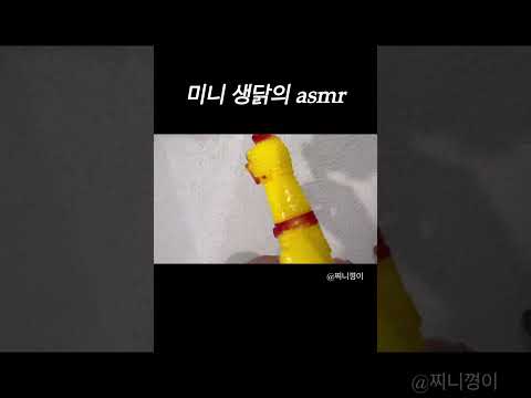 미니 생닭의 탭핑 tapping asmr #asmr #shorts