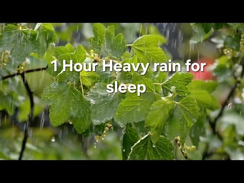 1 HOUR HEAVY RAIN FOR SLEEP #Heavy rain sleep sounds