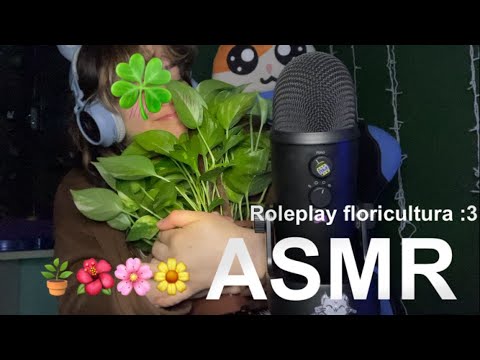 ASMR🌻Roleplay na Floricultura🪴te dando ℹ️nfo sobre plantas :3 Elas não te fazem só respirar (─‿‿─)