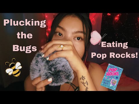 良い音 ! PLUCKING THE BUGS AND EATING POP ROCKS! 🐞🪲🍭 E BU