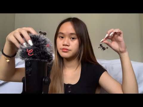 ASMR bug searching and plucking 🐜