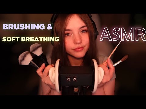 ASMR  ✨🖌️ Gentle Breathing & Brushing sounds for ultimate relaxation ✨ 1 Hour 💤 No Talking 💤