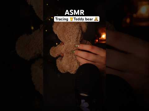 Teddy bear Spider crawling ASMR 🥰