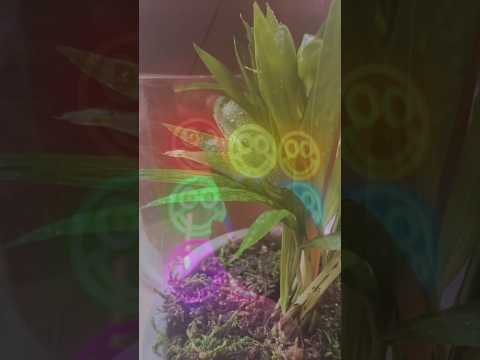 PART 3/3 #asmr #triggersforsleep #asmrtriggers #asmrvideos #asmrtingles #asmrrelaxation #tingles
