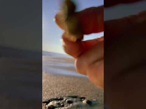 Painting your face with sand #asmr #raeasmr #visualasmr #closeup #facepainting #beach #waves