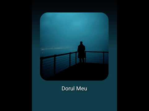 Dorul meu