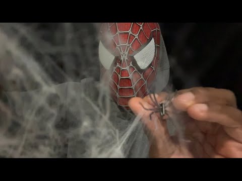 ASMR Spiders Crawling Up Your Back, Snakes Slithering down (+Spiderwebs)