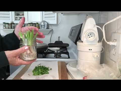 Ad-free ASMR; Cooking veggie noodle dish; soft spoken
