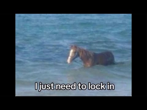 it’s just asmr. it’s not that deep… or is it?