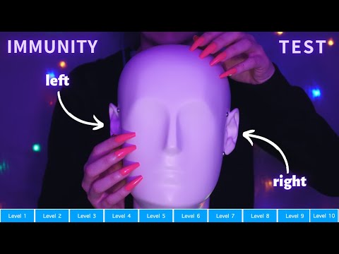 Asmr Testing Your Tingle Immunity Levels - Intense Trigger Warning! | Asmr No Talking for Sleep