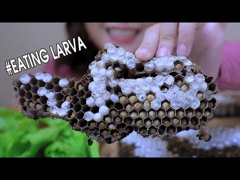 ASMR eating Grilled wasp Larva in honeycomb Challenge(Exotic food) Extreme EATING SOUNDS | LINH-ASMR