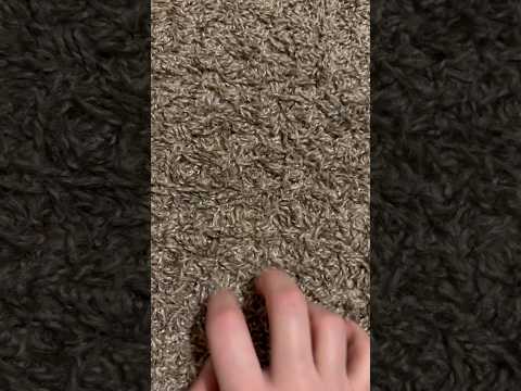 ASMR Scratching My Carpet (No Talking) #ASMR #Shorts