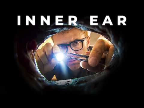 ASMR The Deepest Ear Cleaning You’ll Ever Feel..