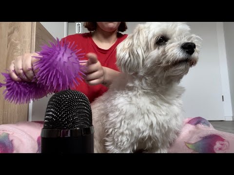 ASMR with my dog ​​as a special guest.