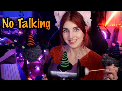 ASMR | Brushing & Cleaning Your Ears (No Talking) | Jinxy ASMR