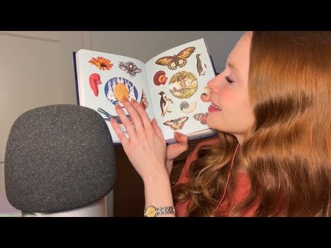 🌿ASMR🌿 Sticker Book Show & Tell — 100% Whispered w/ Tapping + Tracing