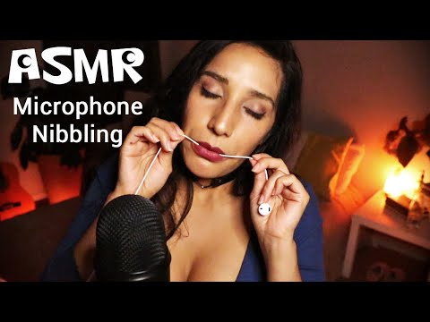 ASMR Mic Nibbling | No Talking