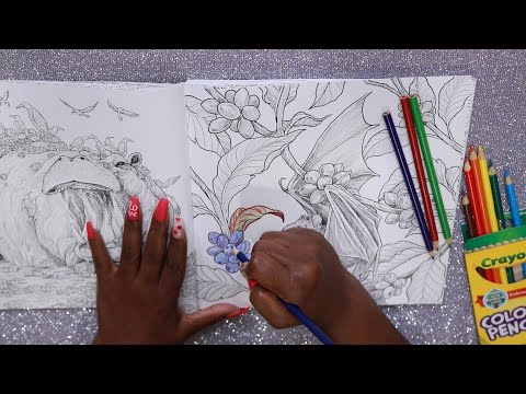 Color Pencils ASMR Coloring