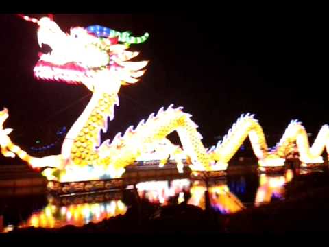 festival of lights III (dragon)