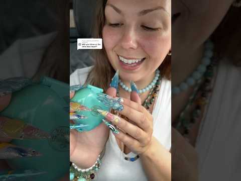 Little Blue Heart Polly Pocket🩵 #uniqueasmr #pollypockets #pollypocket #bestlifebybrooke #asmr