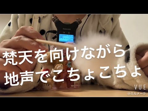 ASMR 地声でこちょこちょする【リクエスト動画】