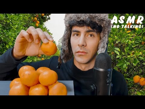 Male ASMR Eating Mandarin 🍊 (No Talking)