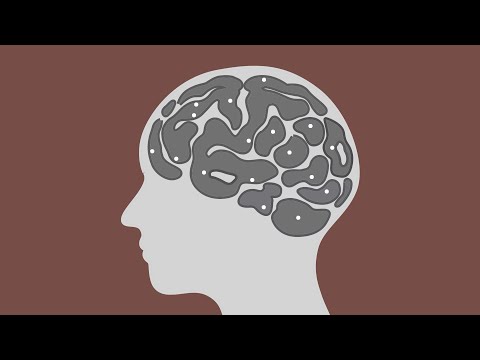 𝗔𝗦𝗠𝗥 🧠 뇌가 너무 간지러워서 머리를 긁었습니다.