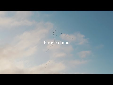 For people seeking freedom