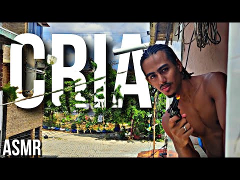 ASMR DE CRIA part 4. #asmr 😴🇧🇷🔥