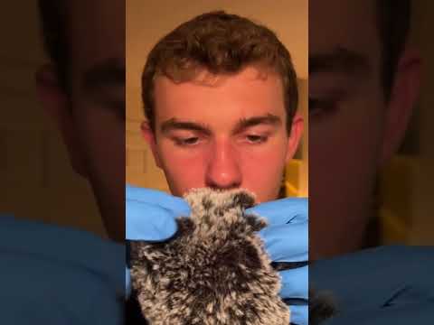 Asmr head massage