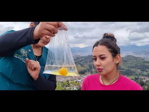 ASMR, Limpia energética con Maritza Pangol & Mika 