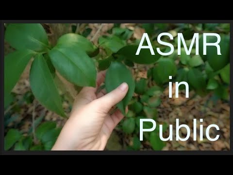 asmr in a garden🌿🌳