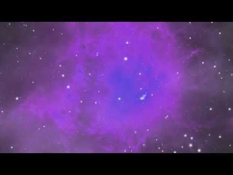 The Auracle ★ Binaural ASMR ★ Roleplay
