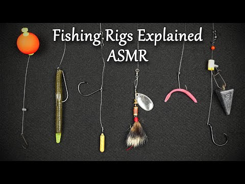Common Fishing Rigs Explained | ASMR