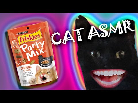 RELAXING CAT ASMR🐈‍⬛Treats and Box (No Talking)🐈‍⬛ CUTE!!!!