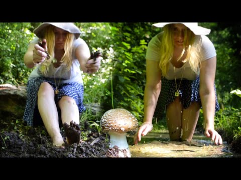 🍄 Nature ASMR 🍄- MUDDY forest after the storm, Picking first mushrooms barefoot, fluffy moss 🌿