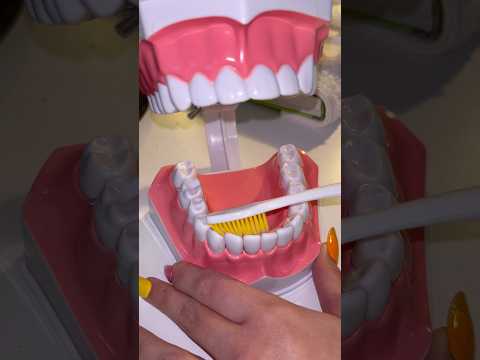 Le patient te partage carrément son repas à ce stade🦷 #asmr #asmrroleplay #dentist #oddlysatisfying