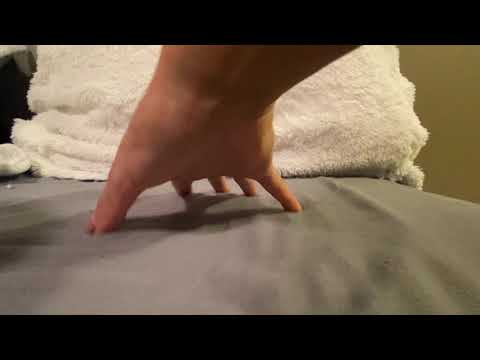 Bed & Lens Scratching - Quick