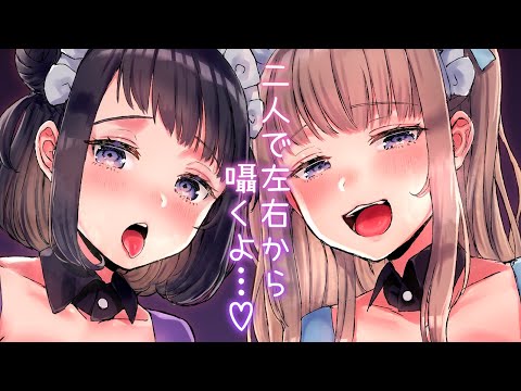 🔴【 ASMR？ 】#かのらい 2人で左右から囁くよ…💜 囁き   シチュエーションボイス  バイノーラル   binaural   心音   雑談【公式転載】