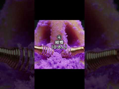 一生で出会う異性の人数👨‍👩‍👧‍👦4選　#asmr