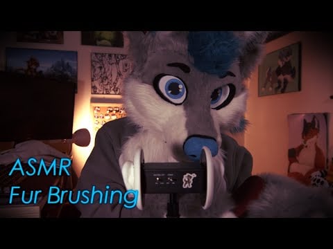 [Furry ASMR] Fur Brushing!